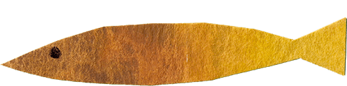 Fish 1