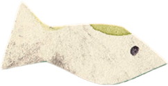 Fish 5